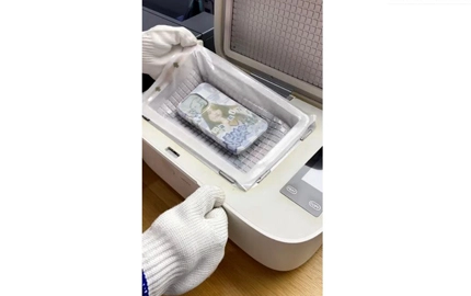 Où sont les lapins?